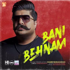 🎵کاور آهنگ وای دل بی قرارم از بهنام بانی