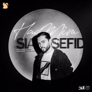 🎵کاور آهنگ سیاه و سفید از حامیم