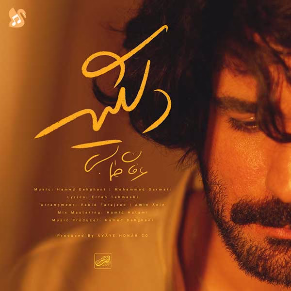 کاور آهنگ دلگیر از عرفان طهماسبی