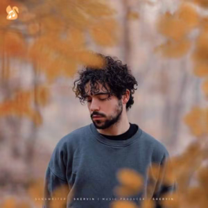 🎵کاور آهنگ برای از شروین حاجی پور